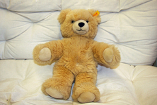 Teddy 050.jpg